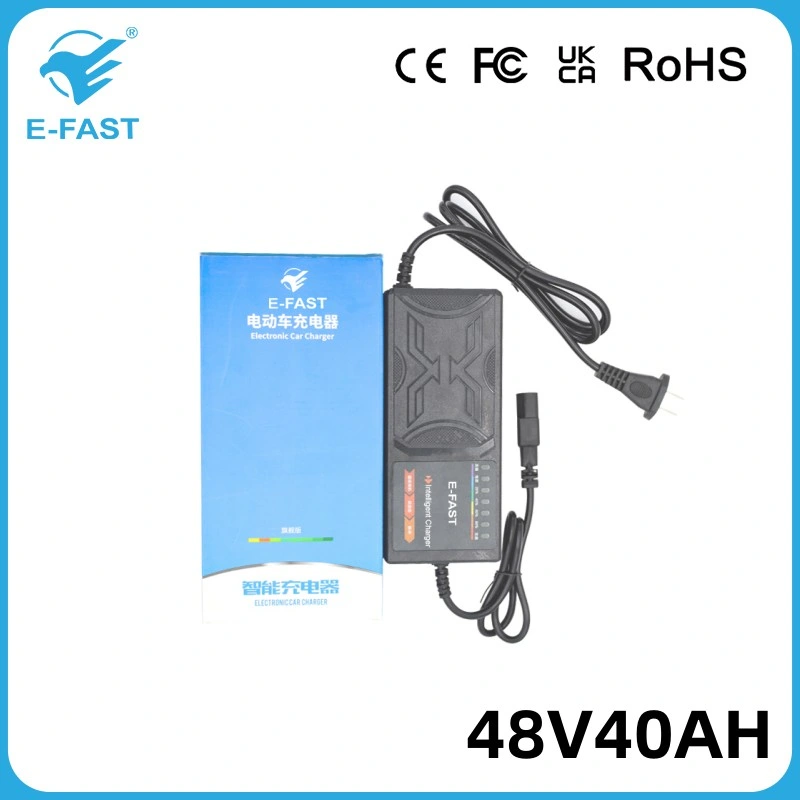 48V40ah New Intelligent Repair Electric Pulse Battery Charger for Lead Acid AGM Battery