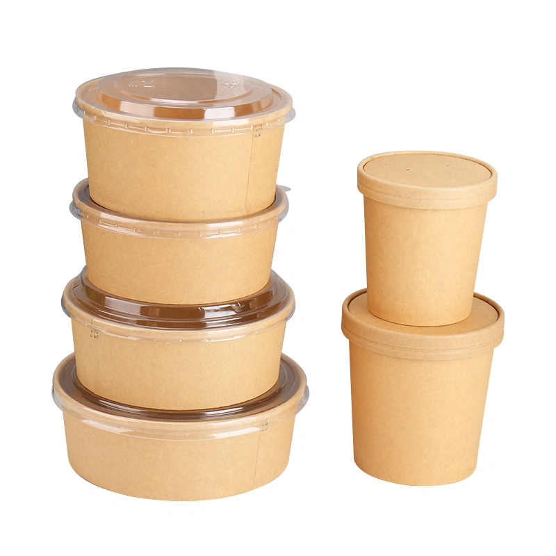 100% Compostable Food Container with Lids Bagasse Fibers Sugarcane Pulp Paper Lunch Box