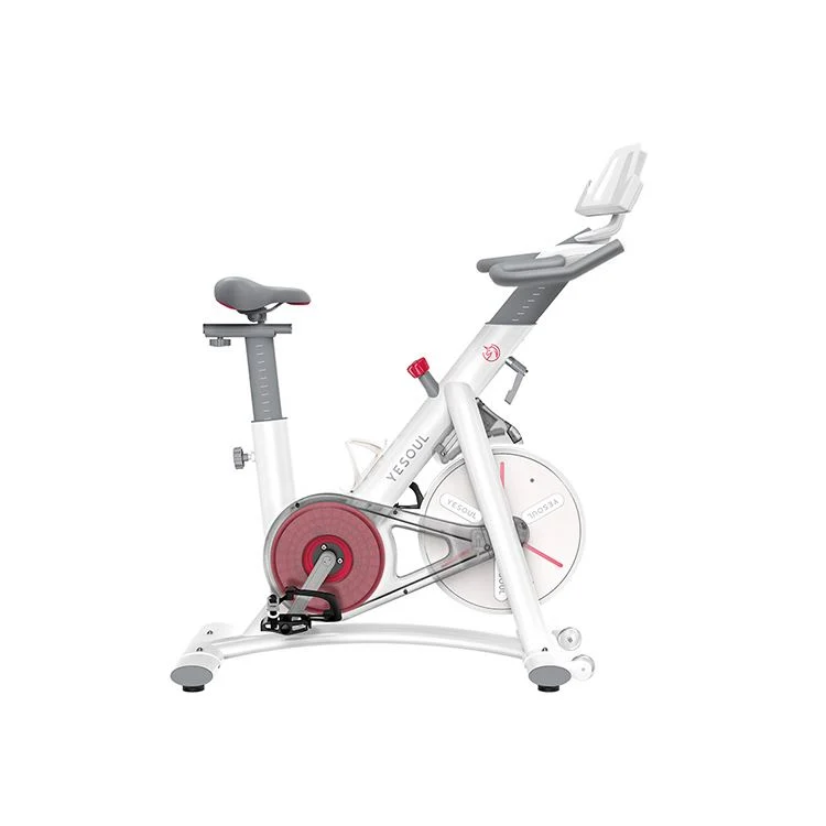 Home Fitness Spin Bike/Commercial Indoor Training Home Gym Fitness Equipment/Exercise Machine Magnetic Spinning Exercise Bikes/Sports Bike/Stationary Bike