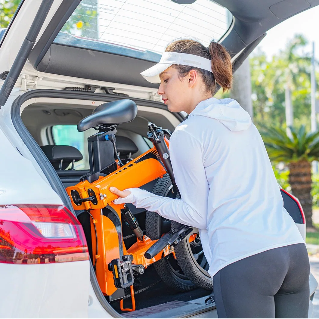 ODM/OEM pour les femmes/hommes 16ah Vélo électrique Vélo pliant électrique