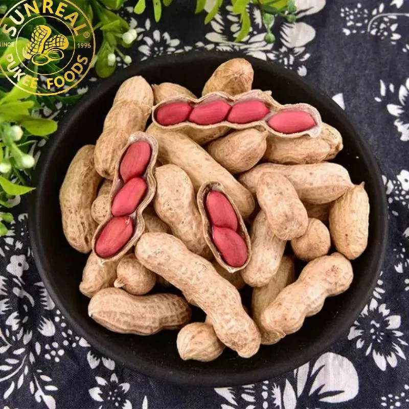 Roasted Red Skin Peanut in Shell/Sunreal/Thin Shell/Easy to Move/Plump Kernel