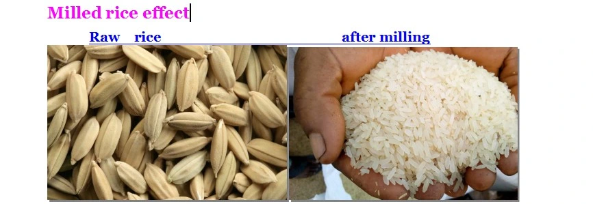 molino de arroz bajo Precio procesamiento de grano Peeling Fresado Corn Sheller Máquina HL-N80