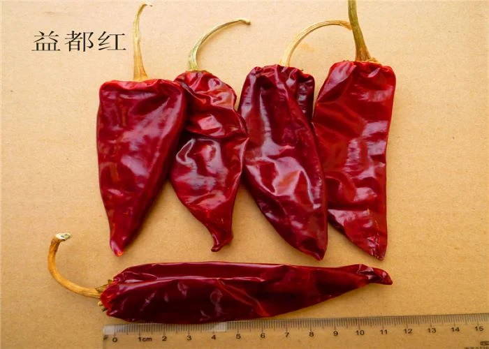 Chaotian Chilli/Halal Sun Hot Selling Dry Chilli/Export Price/Bullet Chilli