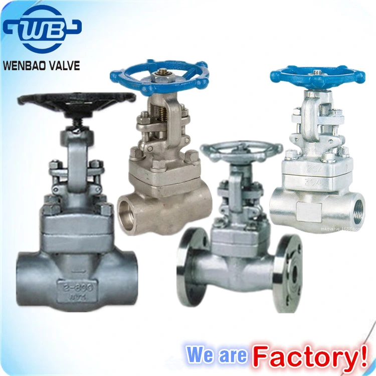 Stainless Steel/Carbon Steel/A105/FL2/F11/F22/F5/F304/F316/F321 Flange & Thread & Butt Weld & Socket Weld Forged Steel Check Globe Gate Valve Manufactrer