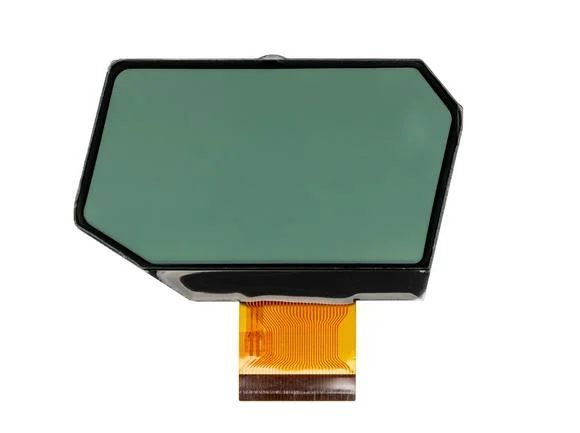 FSTN/Positive/Transmissive Small Size Display Future LCD Screen