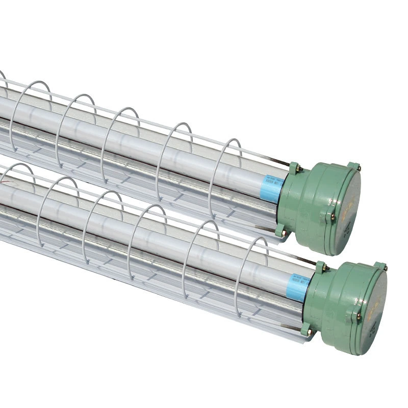 T5 T8 L'éclairage fluorescent antidéflagrant Singe Twin Ex Luminaires tube blanc froid