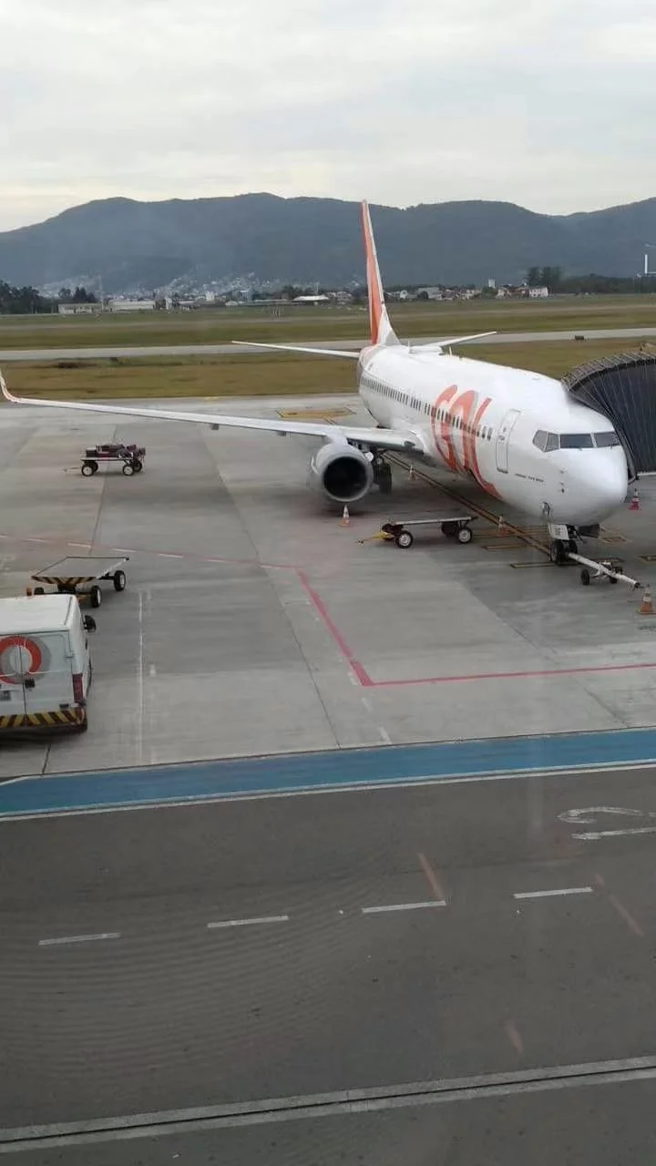 Carga de transporte por via aérea, uma grande empresa de logística na China