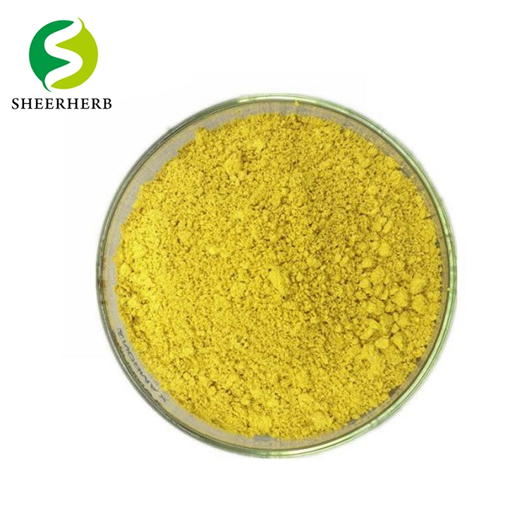 OEM/ODM Private Label Berberine Hydrochloride Berberine Hydrochloride Tablets Berberine Capsules