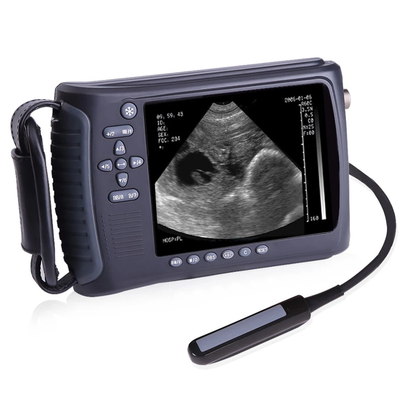 Portable Veterinary B-Mode Handheld B/W Ultrasound Scanner for Wholesales