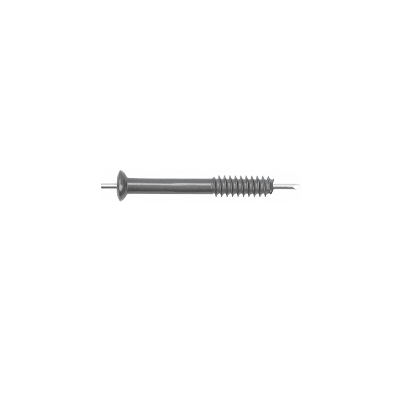 Orthopedic Implant Cannulated Screw for CE