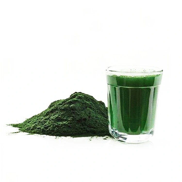 Natural Health Care Organic Barley Grass Juice Powder with Good Price