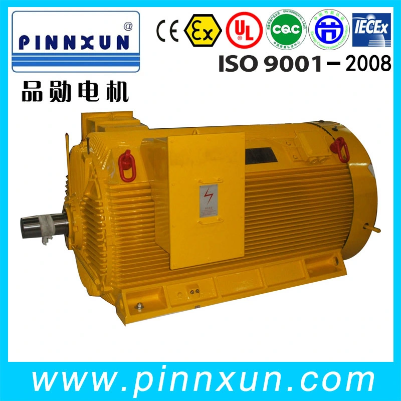 Y2 Series High Voltage Motor 1000rpm 6.6kv 500kw Motor