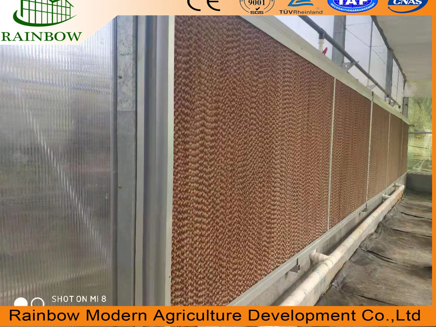 Agriculture Professional Greenhouse Cooling Pad System