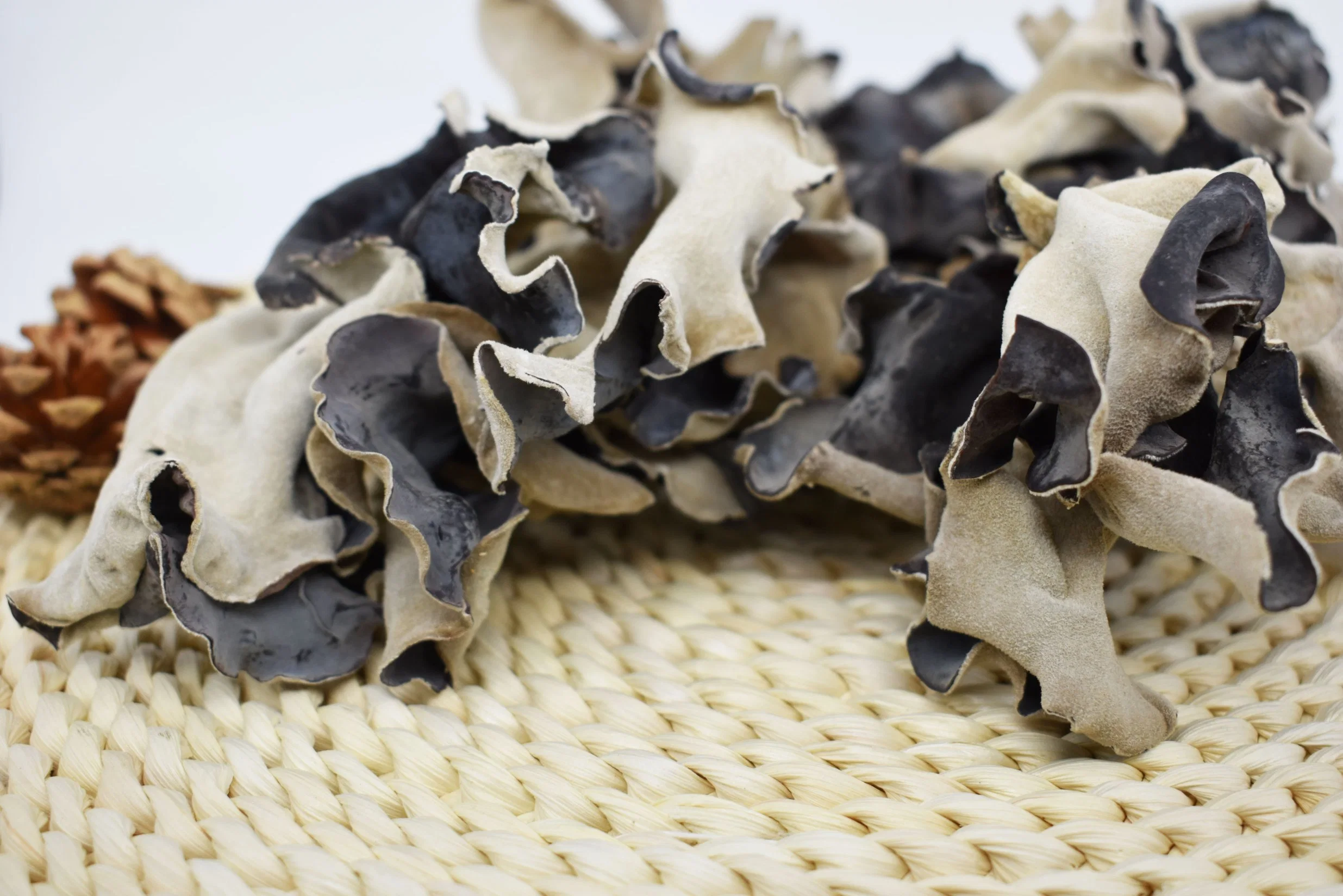 Natural Green Food Dried Vegetable Oyster Mushroom