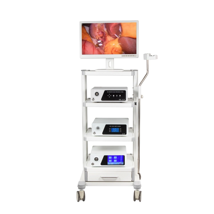 Medical HD Diagnosis Equipment for Endoscopy