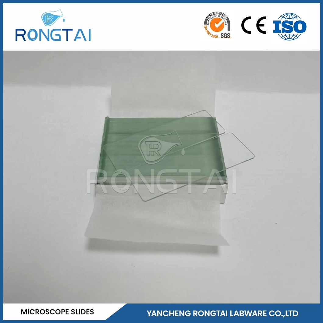 Rongtai School Laboratory Equipment Suppliers Microscope Slides Ground Edge China 7101 7102 7105 7107 7109 Microscope Prepared Teaching Slide