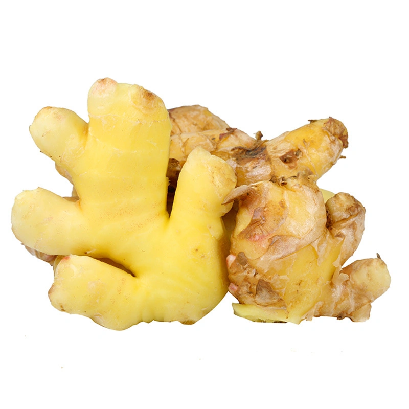 Chinese Dry Ginger Spicy Mature Ginger