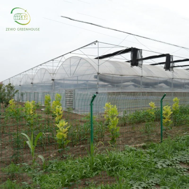 Low Cost Arch Multi Span Poly Film Greenhouse with Ventilation System for Vegetable Farming