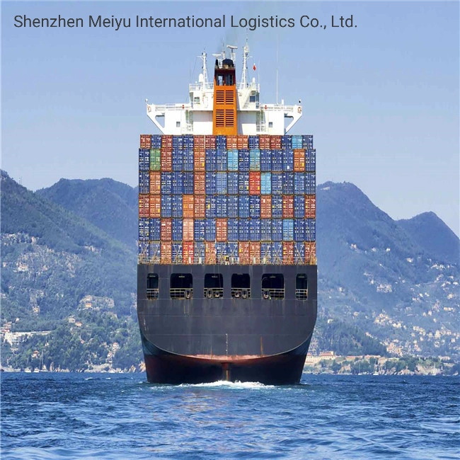 Cheapest Freight Forwarder DDU/DDP Sea Shipping to Italy