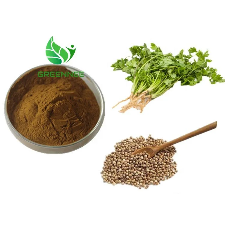 Top Quality 10: 1 15: 1 Coriander Seed Extract Plant Extract Cilantro (caraway) Extract