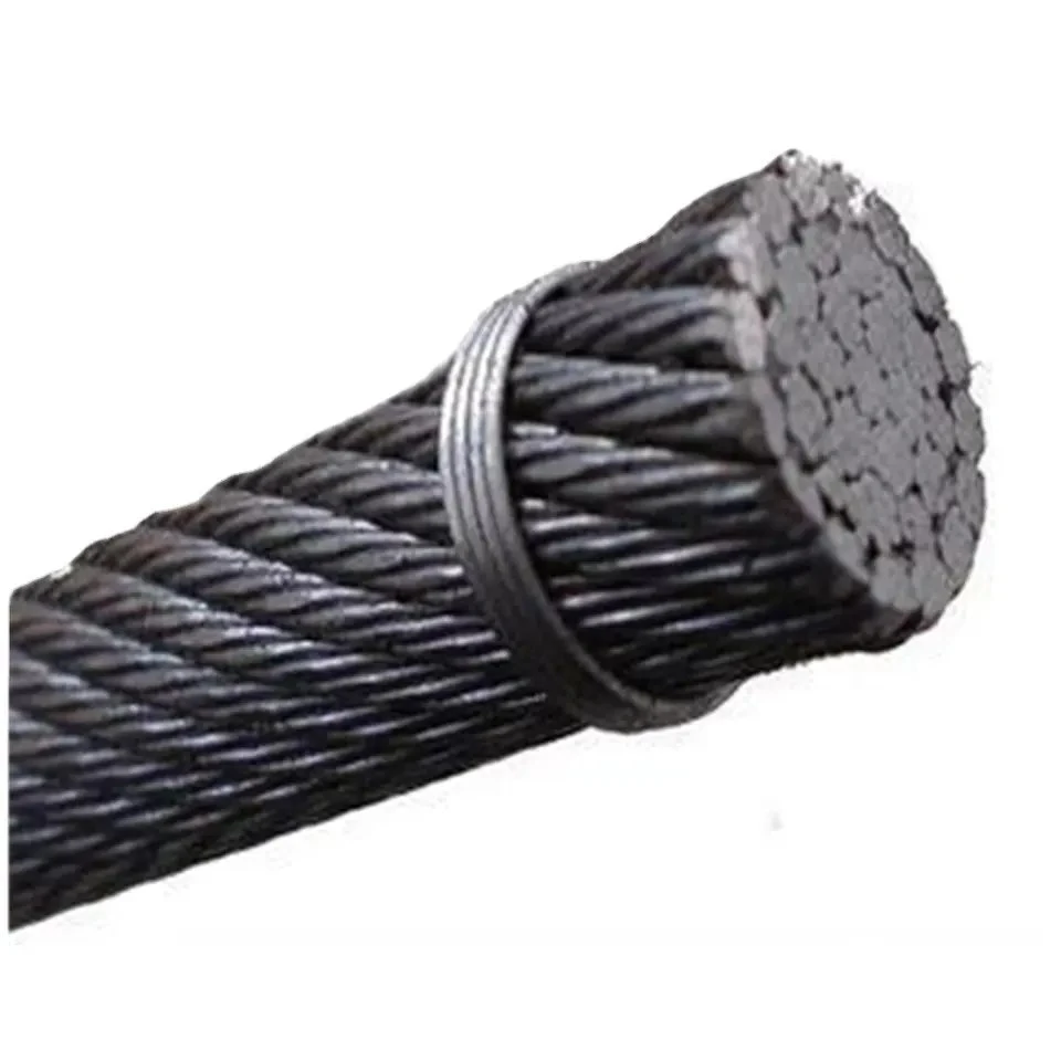 Customized 7X19 Galvanived Stainless Steel Wire Rope Nova Elevators Steel Wire Rope 8X19s+Iwrc for Price