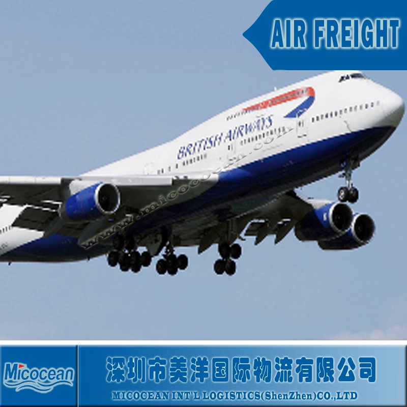 Sea& Air Price Freight Forwarder Shipping From China Shanghai/Guangzhou/Shenzhen/Ningbo to Central and South America