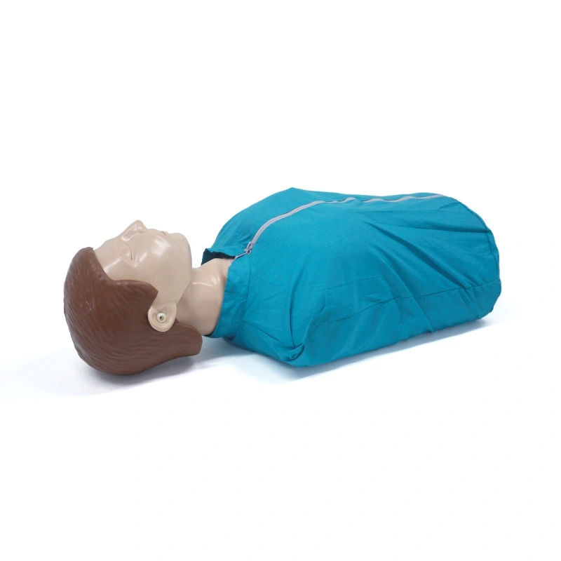 Wholesale/Supplier Half Body CPR Training Manikins Medical CPR Dummy Simple for CPR Practice