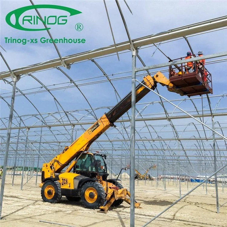 China Good Quality Large Space High Tech Film Greenhouse For Vegetable