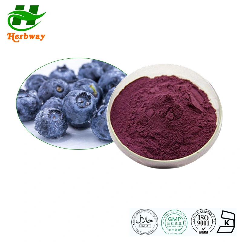 Herbway Hot Sales muestra gratuita 100% Blueberry Fruit Powder Frozen CAS 84082-34-8 Extracto de arándano