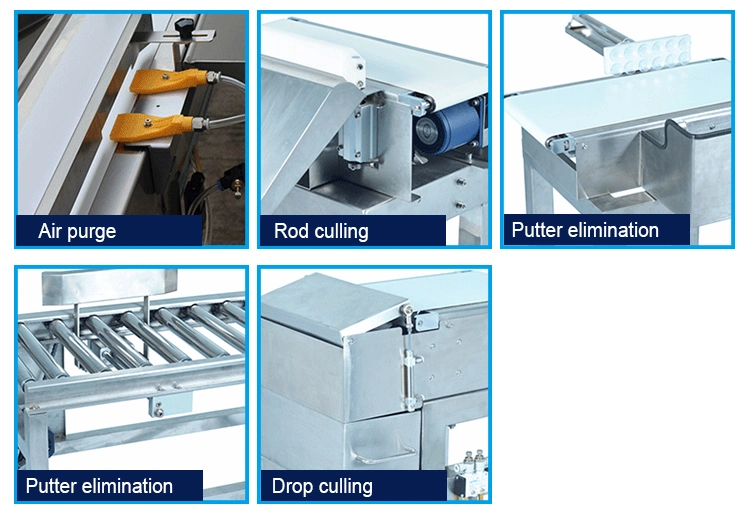 Wholesale/Supplier Weight Checker Conveyor Weight Checking Machine for Luggage