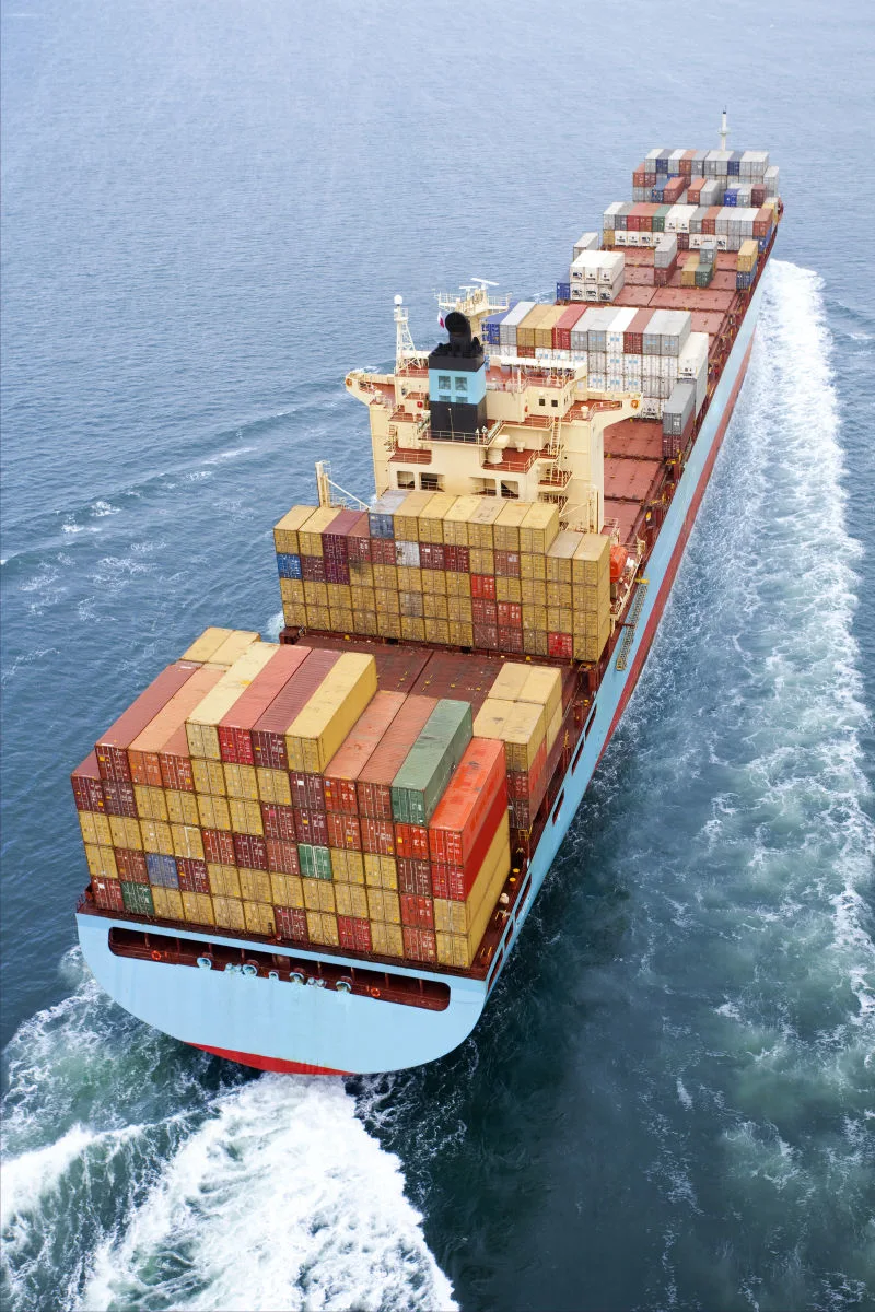 China Shipping Agent, Cheap Sea Freight From Shanghai/Shenzhen/Ningbo/Guangzhou to USA/South Africa/India