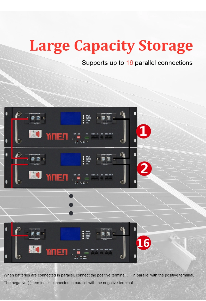 Built-in Smart BMS 48V 100Ah LiFePO4 Lithium Battery