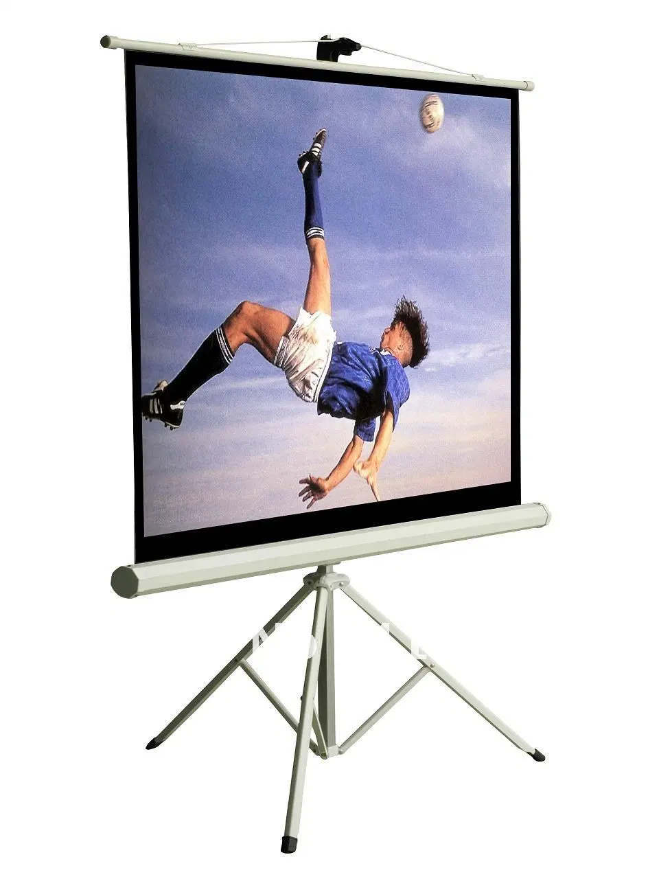 60"X60" Matte White Tripod Projection Screens with Good Quality