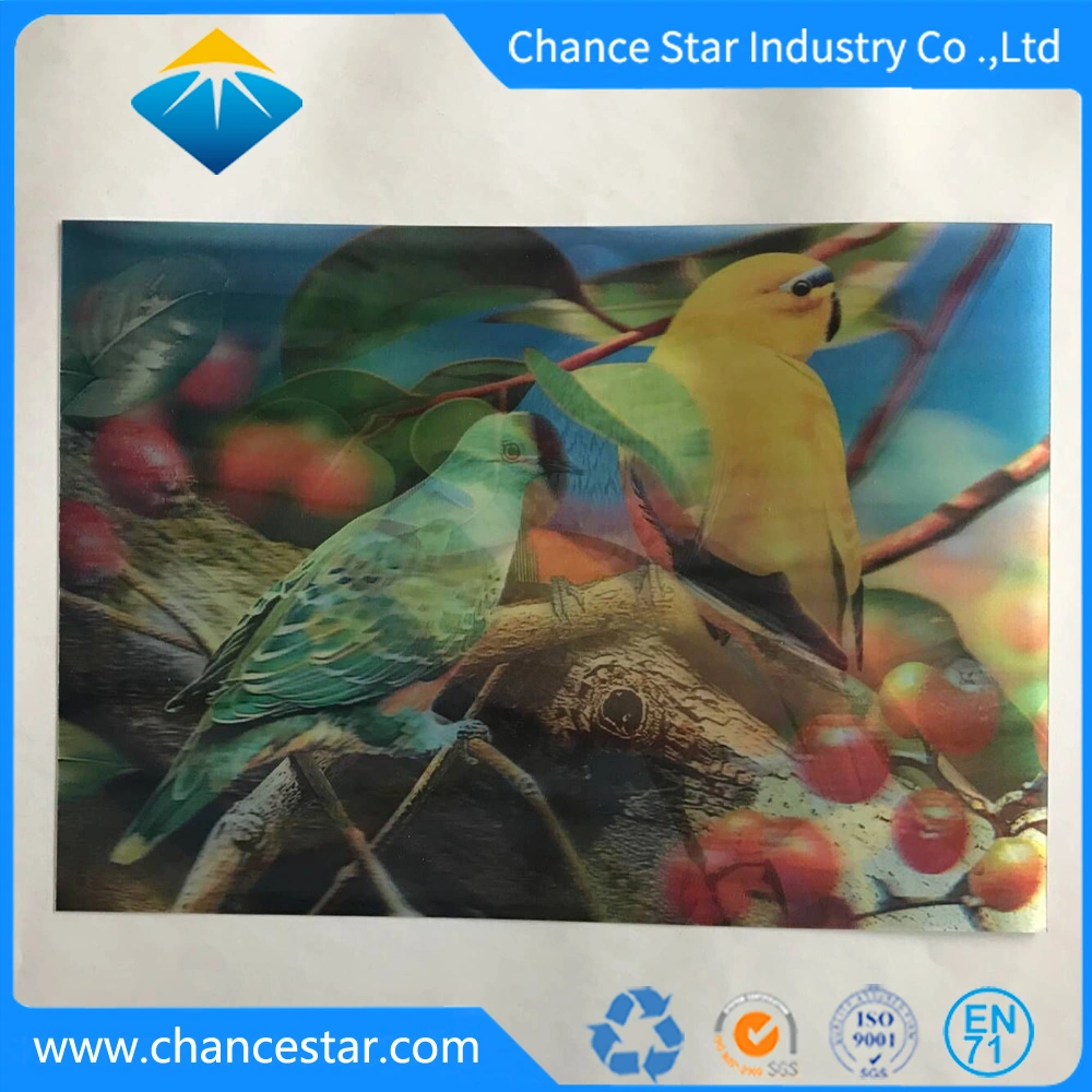 Custom Printed 3D Lenticular Plastic Polypropylene Table Mat