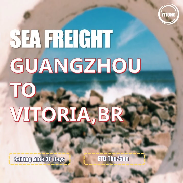 Shenzhen Cargo Ship Price Shipping to Vitoria Brazil