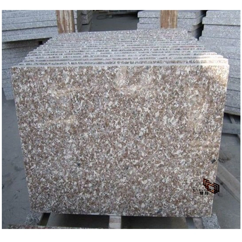 Popular Granitefor Slab/Countertop/Worktop/Floor/Flooring/Paving Stone/Stair for Tread/Window Sill/Wall Tile (G648/G603/G654/G684/G682/G439/G664)