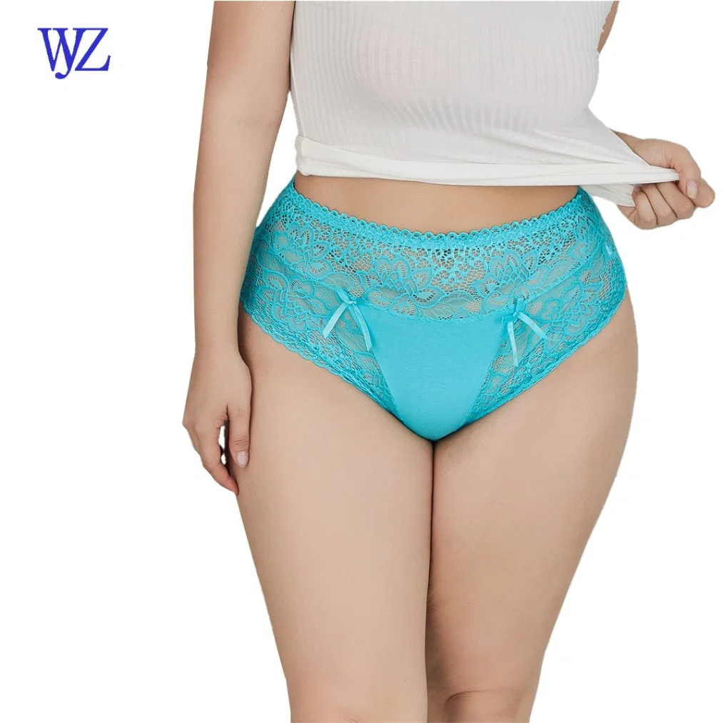 Sexy femmes belles Slip transparent sous-vêtements dentelle Big Butts plus Taille sous-vêtements pour Femme