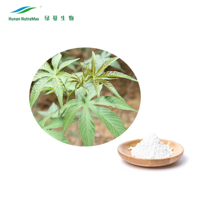 Factory Supply Sweet Tea Extract 70%~85% Rubusoside Herbal Extract