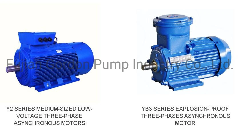 Y2 Series Medium-Sized Low-Voltage Three-Phase Asynchronous Motors