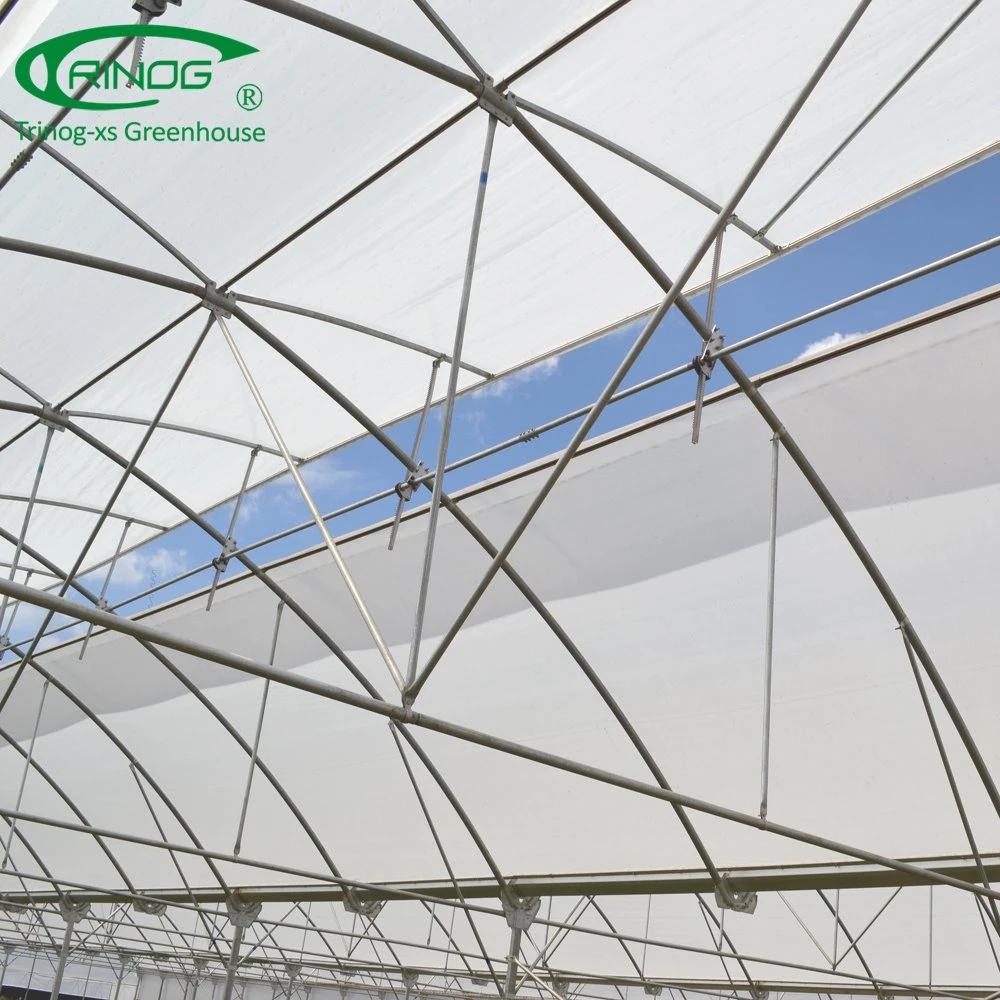 Agricultural HDPE Poly tunnel greenhouse with high quality for sale