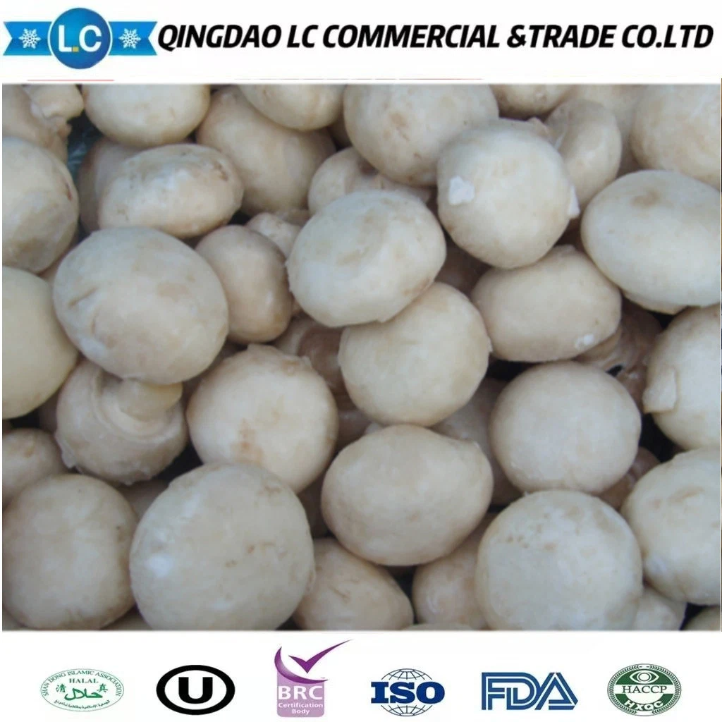 Best Price IQF Frozen Champignon / White Mushroom