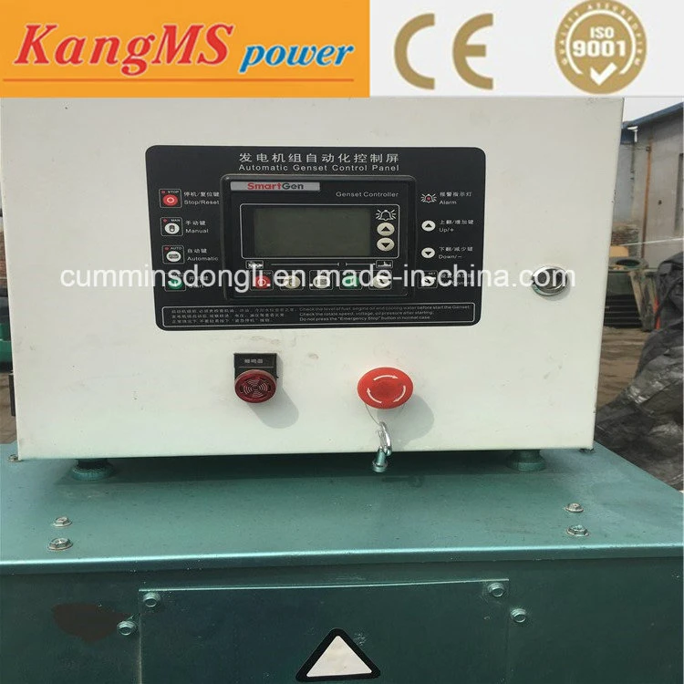 30 Kw Natural Gas Generator Set