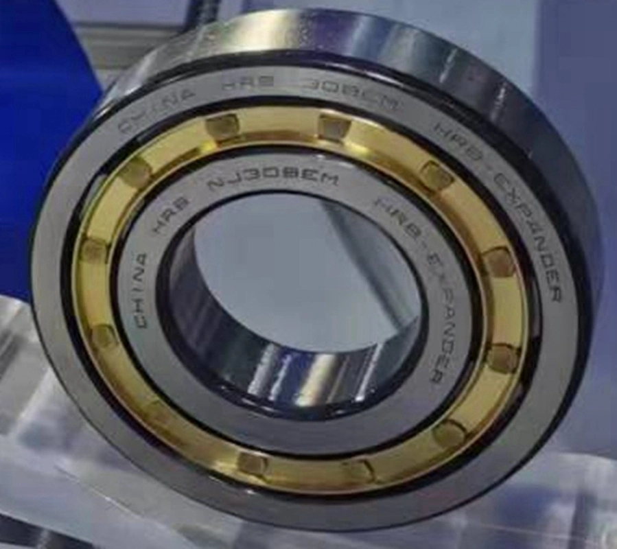 Single Row Cylindrical Roller Bearing for Motors Rolling Vehicles N Series