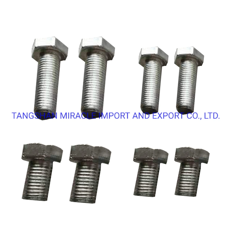 Electro Galvanized Hot DIP Galvanized Black Bolts and Nuts Carbon Steel and Stainless Steel Material Grade 8.8 Fastener Spring Grower Falt Washer