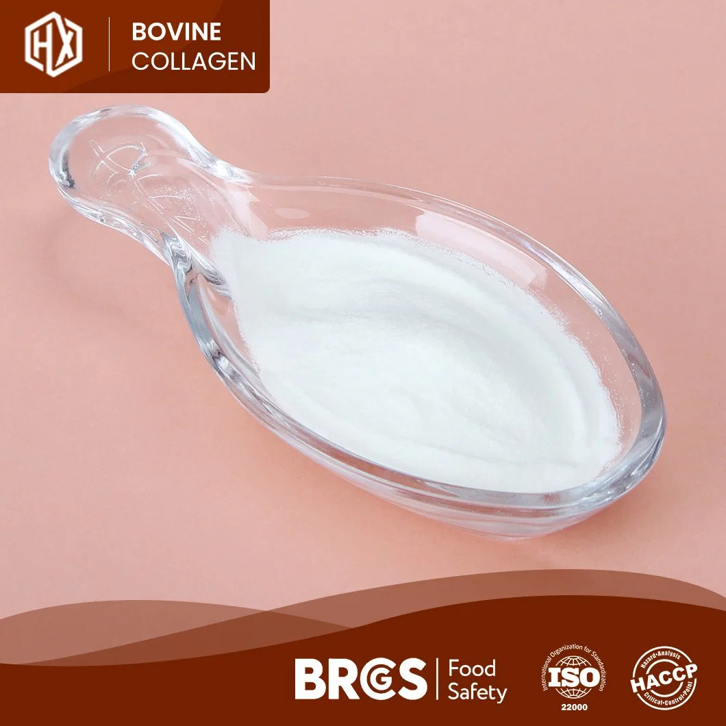 Les peptides de collagène bovin Haoxiang os de la kératine Gel apaisant de la poudre de collagène organiques gelés de l'or de la Chine fabricant prêt à expédier les peptides de collagène naturel