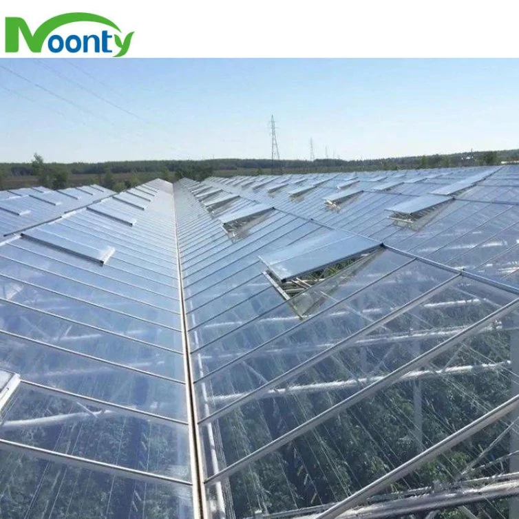 Intelligent High quality/High cost performance Agricultural Glass Greenhouse with Auto Control System