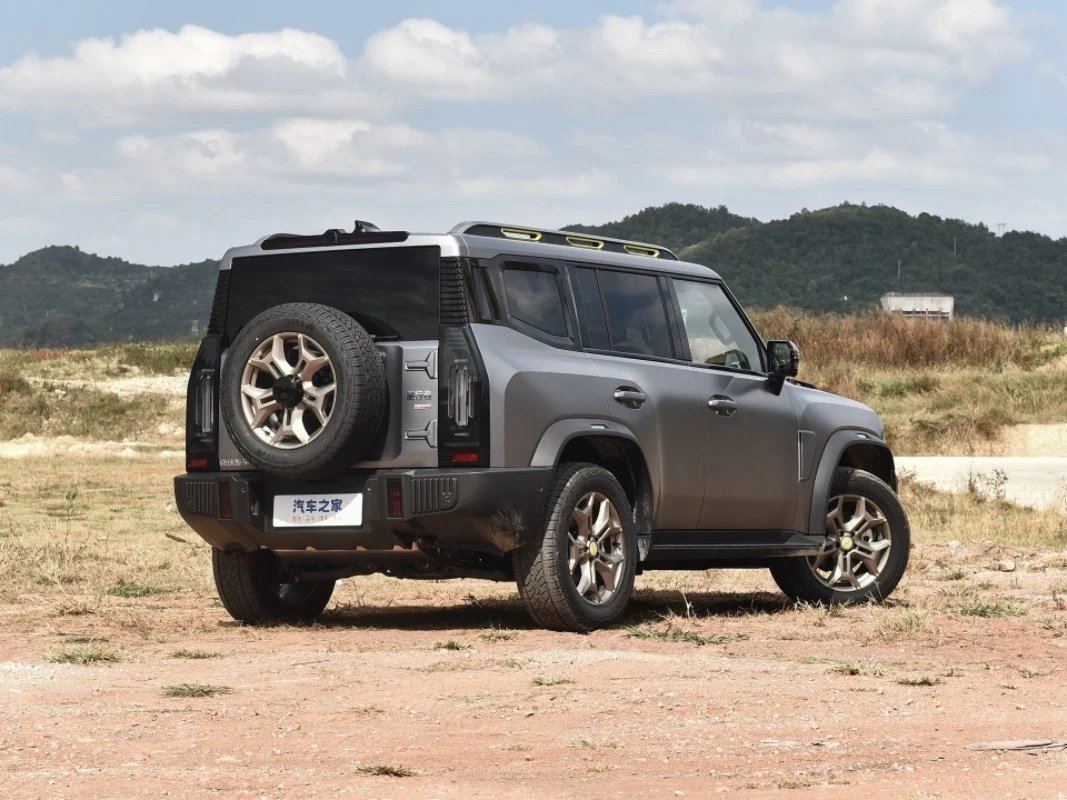 Mini coche de gasolina coche todas las versiones se venden espacio grande 5 asientos