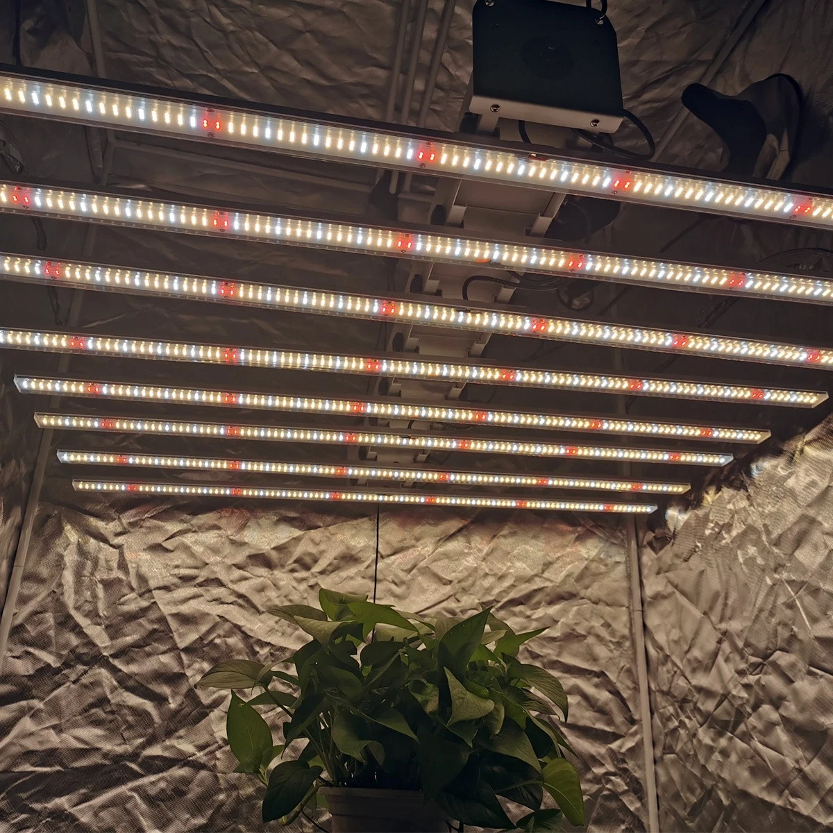 4000K+660nm Samsung Lm301b 1 Row Pure White LED Grow Light