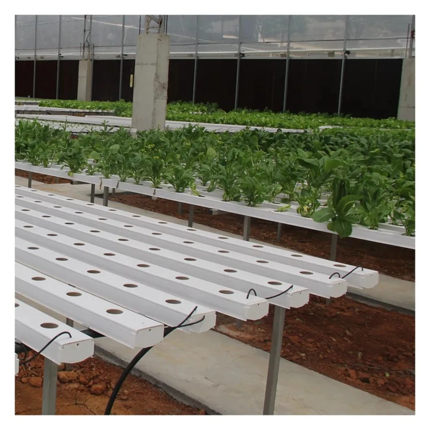 G &amp; N NFT Hydroponics Canal de PVC para o sistema de crescimento hidropônico Agrícola Estufas