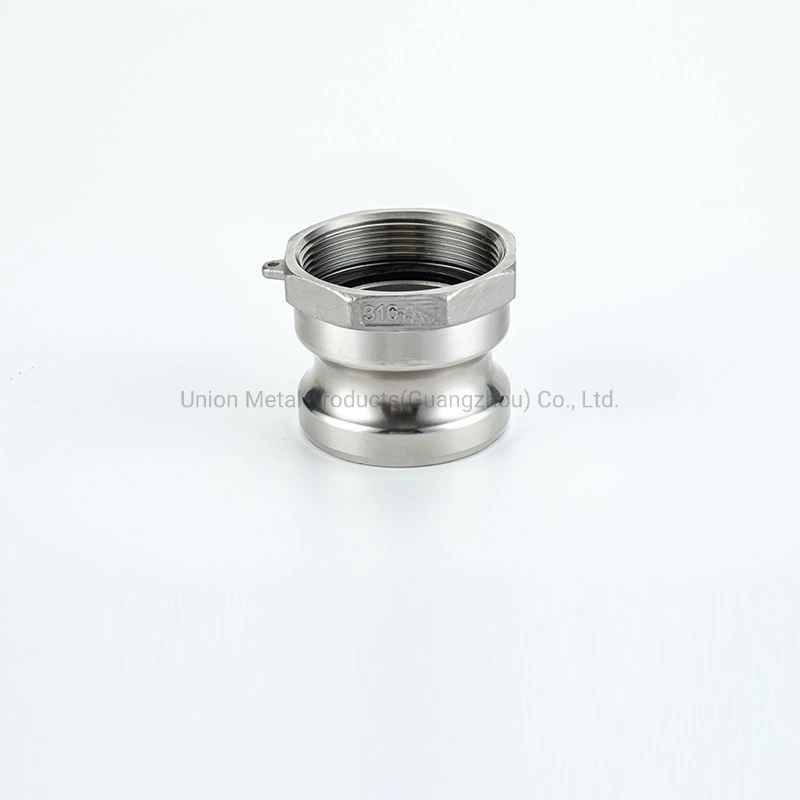 Stainless Steel Male Adapter DIN2828 Camlock Type E Assembled Hose Fitting